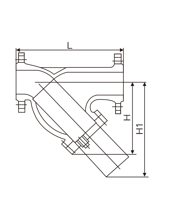 Y型法兰过滤器(图1)